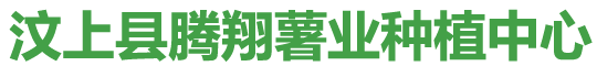 汶上县腾翔薯业种植中心
